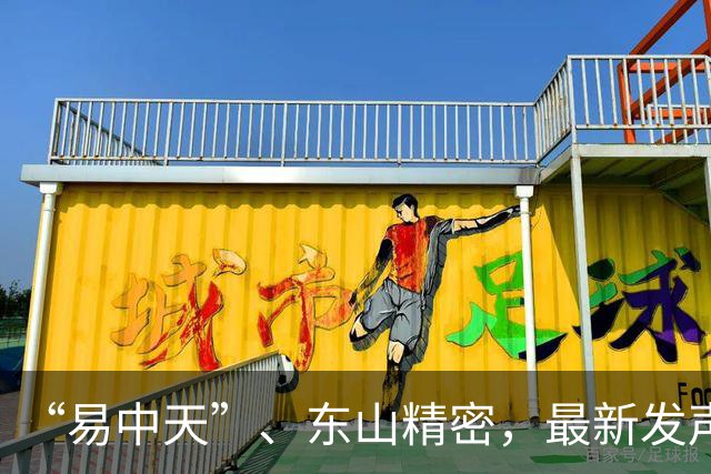 “易中天”、东山精密，最新发声！