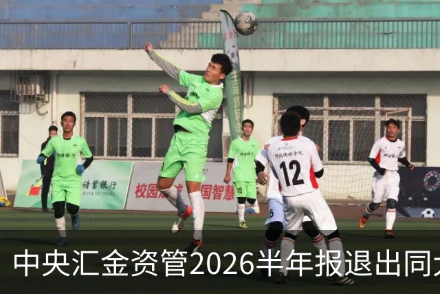 中央汇金资管2026半年报退出同大股份前十大股东名单