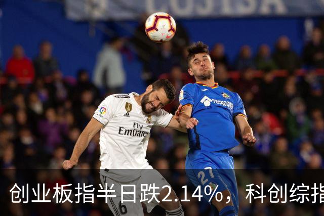 创业板指半日跌2.14%，科创综指跌3.71%，多只沪深300ETF集中放量