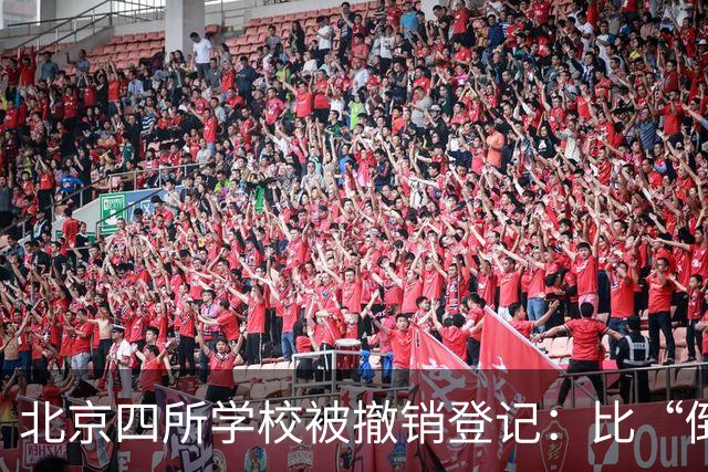 北京四所学校被撤销登记：比“倒闭”更可怕的，是连人都找不到了