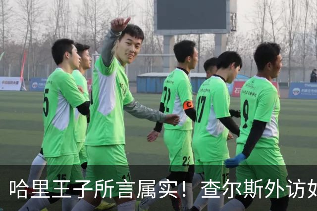 哈里王子所言属实！查尔斯外访如期进行，威廉王储继位再起变数