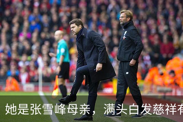 她是张雪峰母亲，满头白发慈祥有智慧，儿子去世7个月仍无法释怀