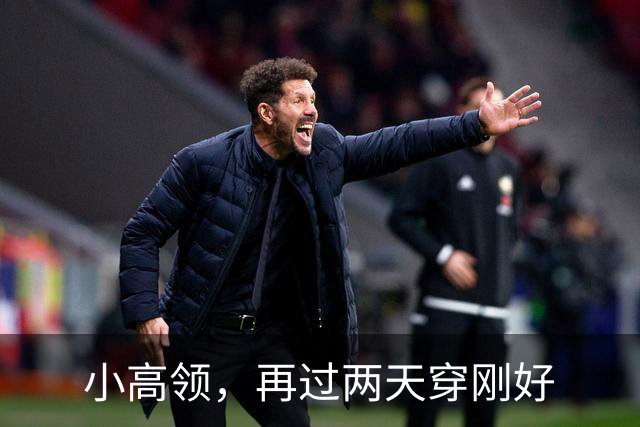 小高领，再过两天穿刚好