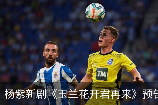 杨紫新剧《玉兰花开君再来》预告，方言环境故事代入感好强