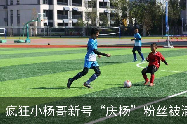 疯狂小杨哥新号“庆杨”粉丝被清零，记者实测：关注不计入粉丝量