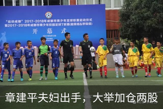 章建平夫妇出手，大举加仓两股