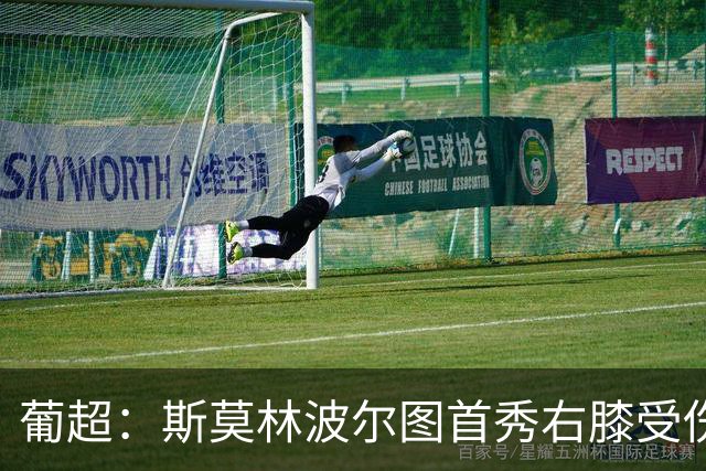 葡超：斯莫林波尔图首秀右膝受伤 下半场开局提前离场