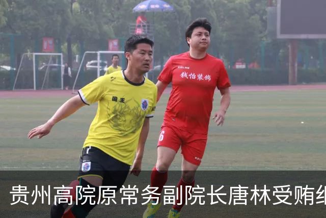 贵州高院原常务副院长唐林受贿细节曝光：一份“电冰箱市场调查报告”值330万