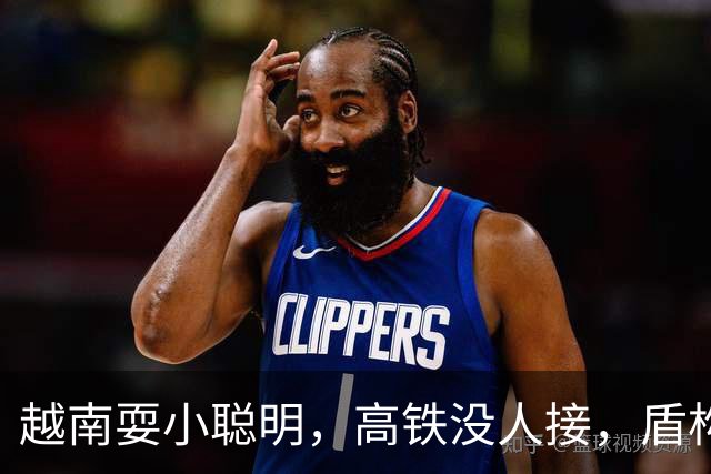 越南耍小聪明，高铁没人接，盾构机买不着，次次搬石头砸自己脚