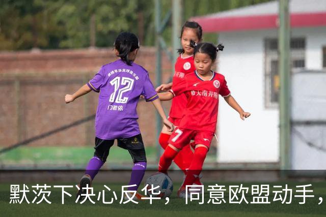默茨下决心反华，同意欧盟动手，宁愿不要对华贸易，也要中国难受