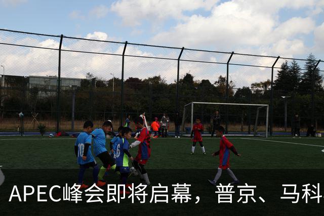 APEC峰会即将启幕，普京、马科斯确认赴会，特朗普释放会晤信号